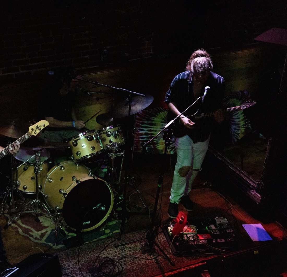 Pink Lady Slipper performing live