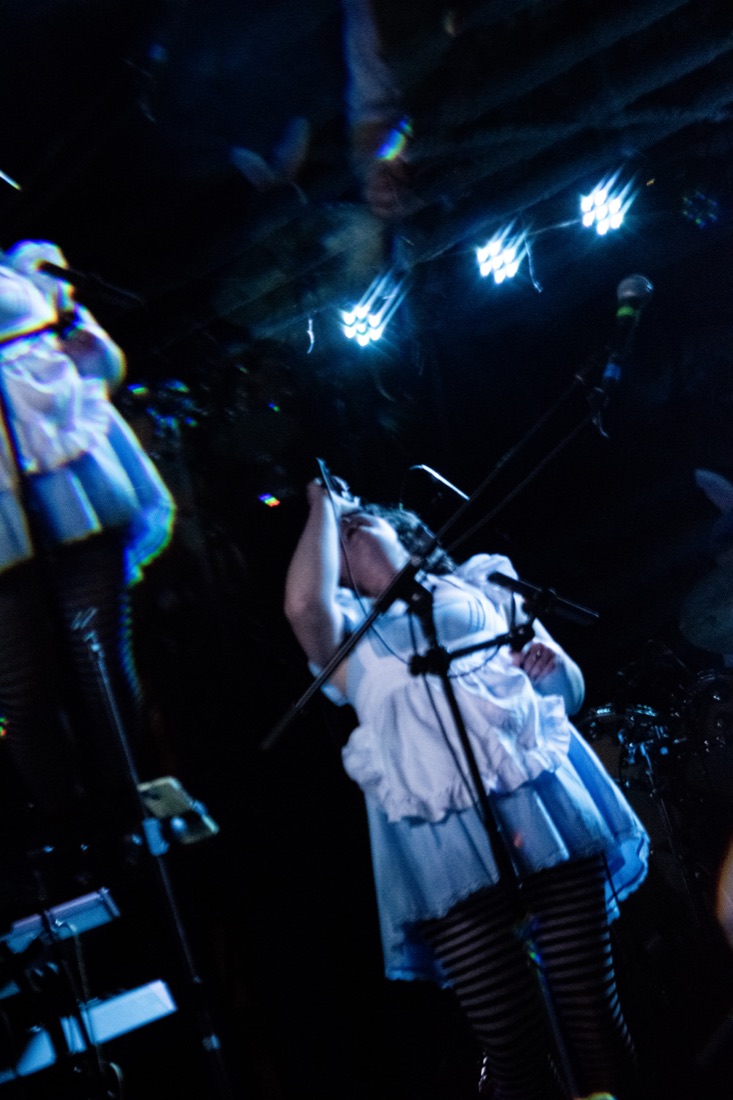 Pink Lady Slipper performing live